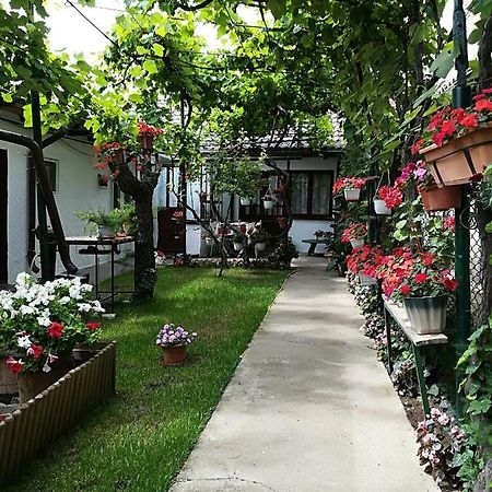 Flower House Konstanca Zewnętrze zdjęcie