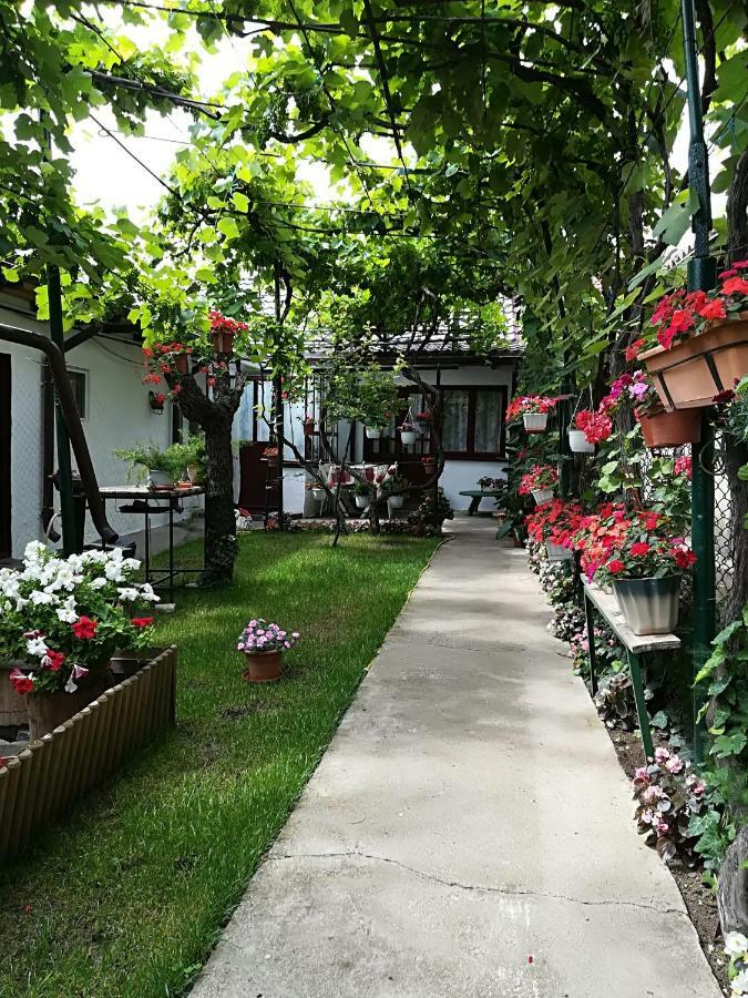 Flower House Konstanca Zewnętrze zdjęcie