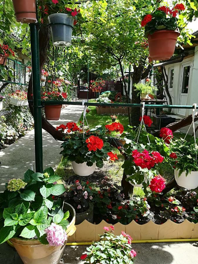 Flower House Konstanca Zewnętrze zdjęcie